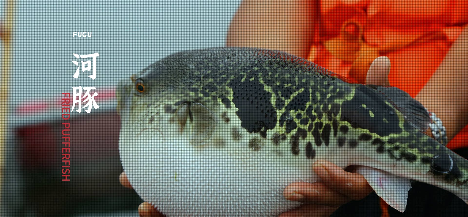 7790�ط�����(�й�)���޹�˾